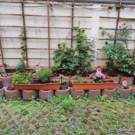 Ferienwohnung Alte Stadtmauer บัมแบร์ก ภายนอก รูปภาพ